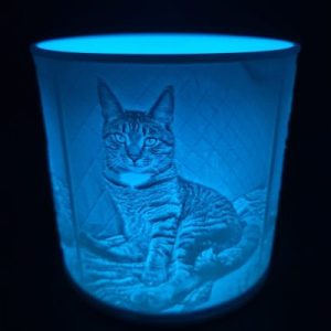 3D Printed: + LED